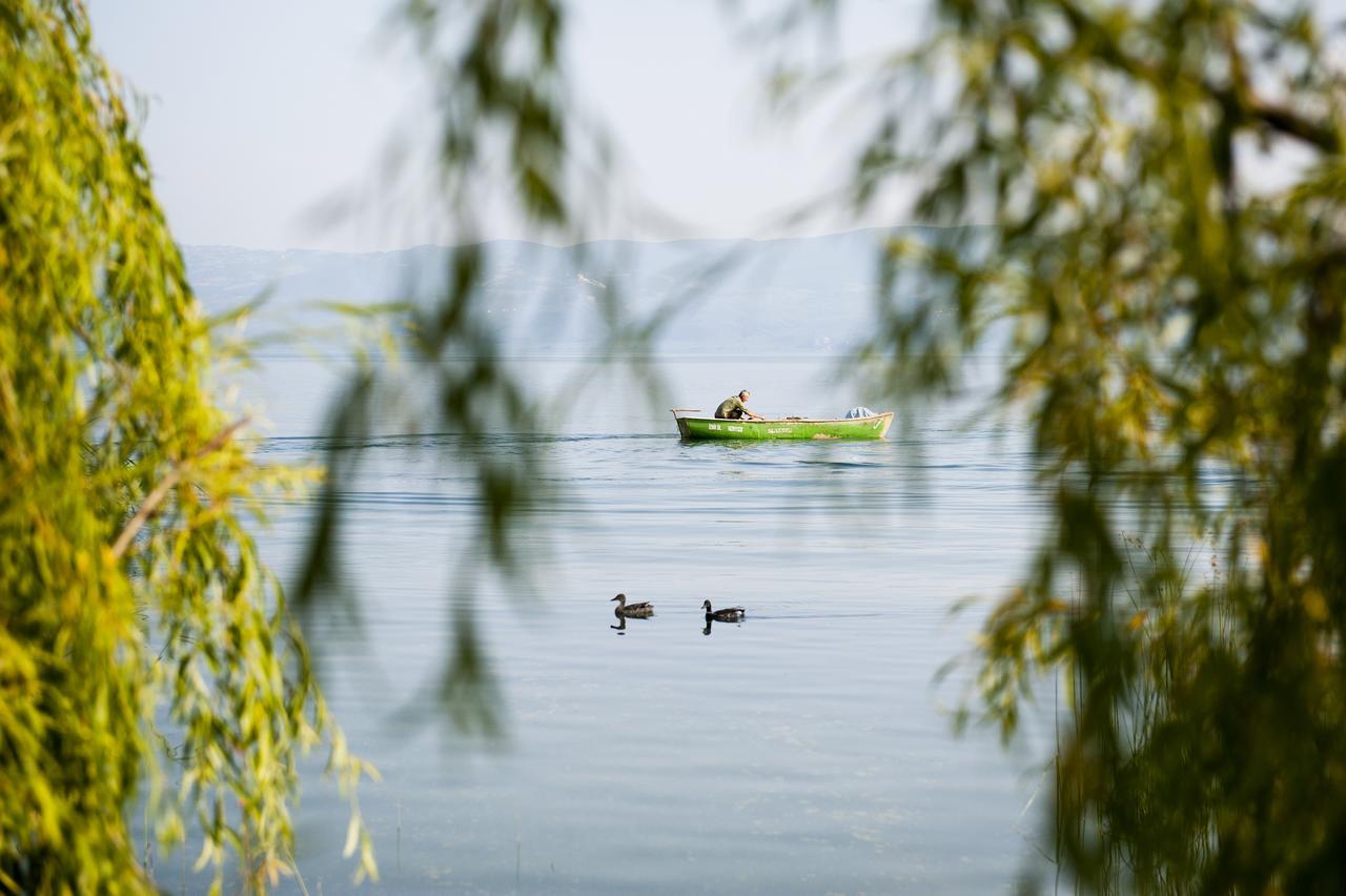 Iznik Askania Kültér fotó